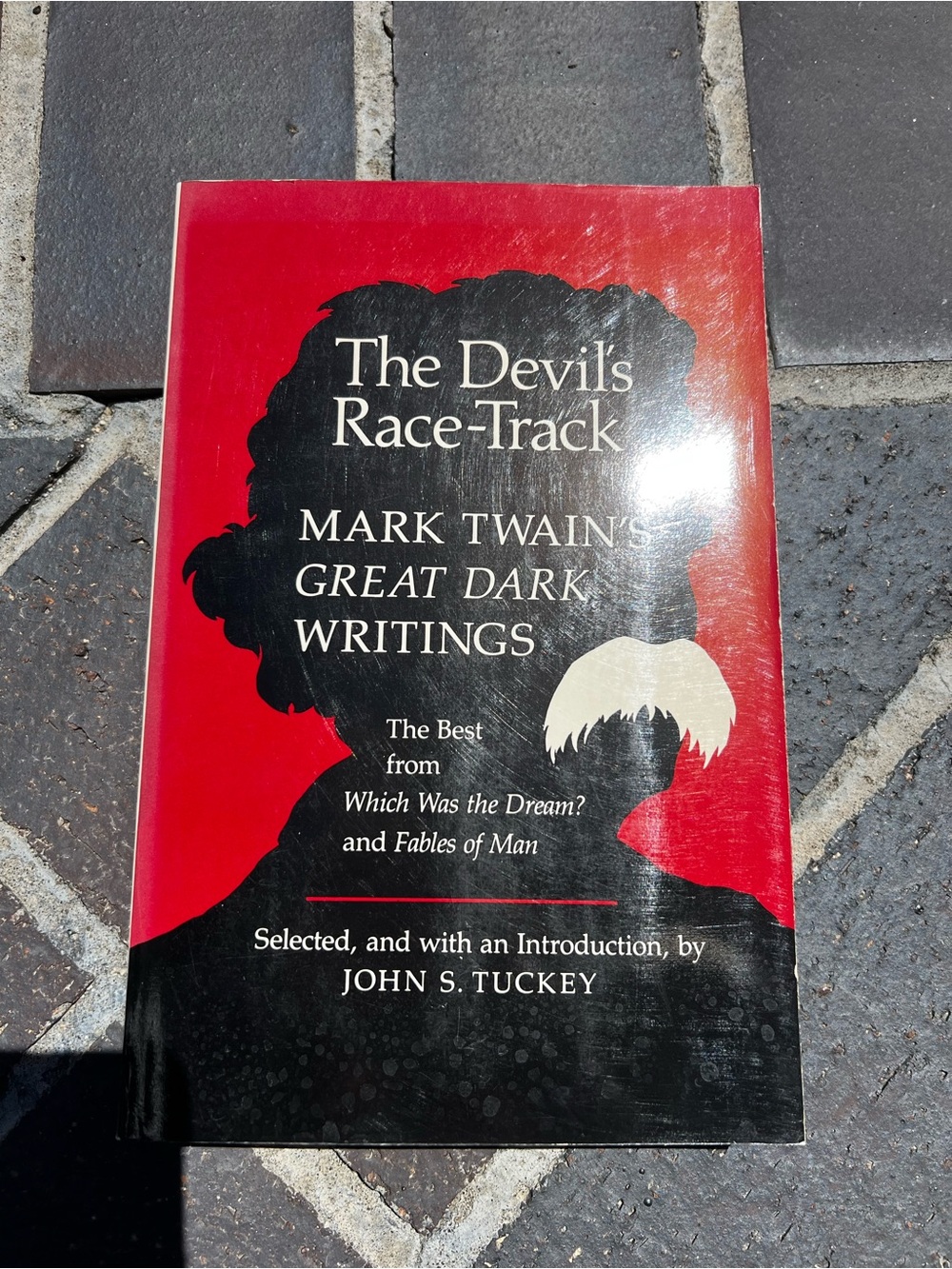 Book The Devil's Race-Track: Mark Twain's Great Dark Writings by Mark Twain